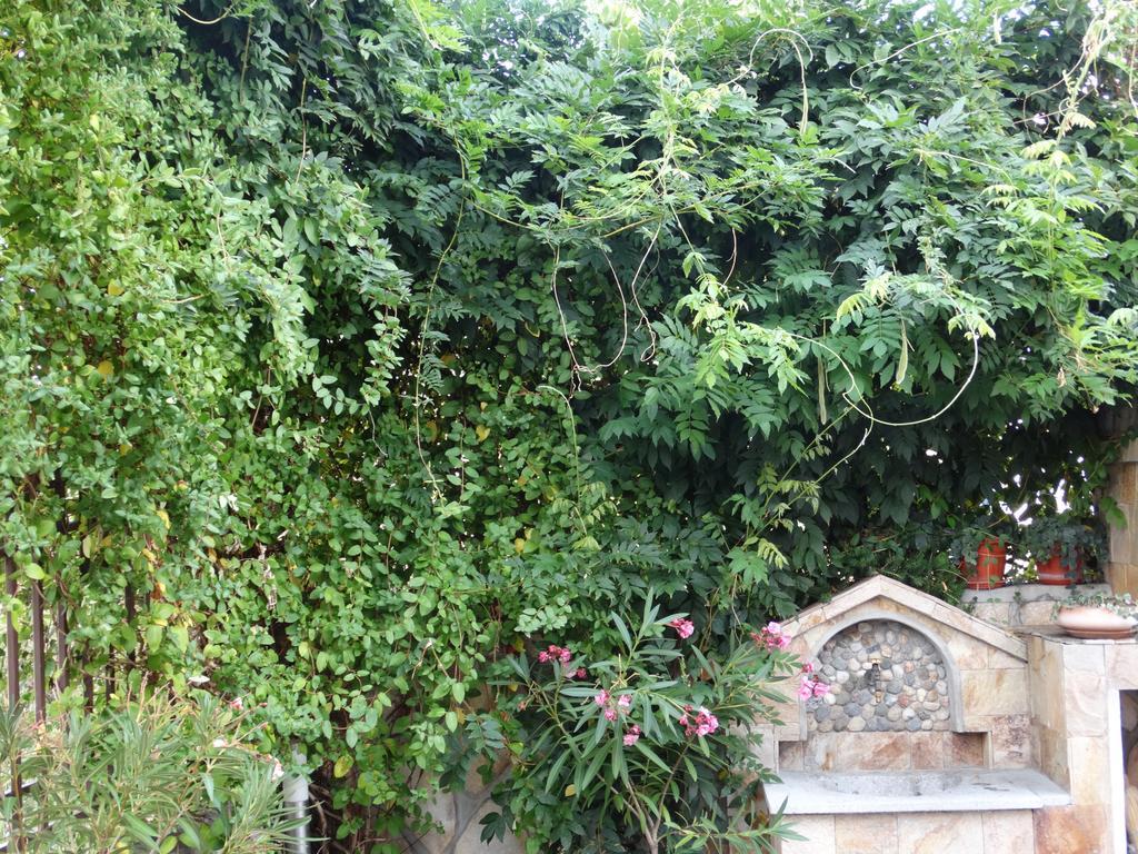 Guest House Ivel Sapareva Banya Bagian luar foto