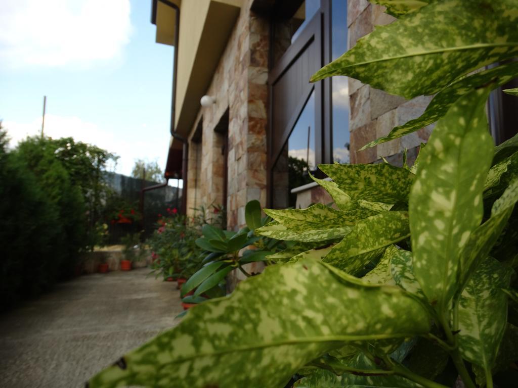 Guest House Ivel Sapareva Banya Bagian luar foto